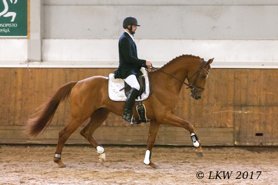 9986-zecchino_p