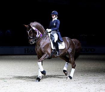 Duendecillo-Goteborg