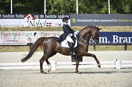 Duendecillo-Ridehesten-ravi